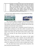 Konspekts 'Piesārņojums, tā veidi un klasifikācija', 40.