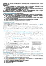 Konspekts 'Konspekts vides tehnoloģijās', 8.