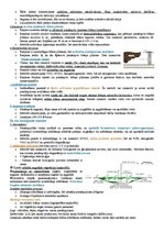 Konspekts 'Konspekts vides tehnoloģijās', 10.