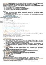 Konspekts 'Konspekts vides tehnoloģijās', 24.