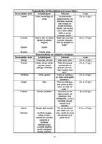 Referāts 'Noras Ikstenas prozas valoda', 37.