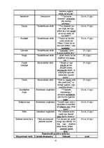 Referāts 'Noras Ikstenas prozas valoda', 41.