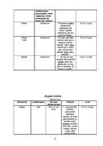 Referāts 'Noras Ikstenas prozas valoda', 42.