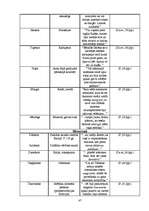 Referāts 'Noras Ikstenas prozas valoda', 47.