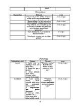 Referāts 'Noras Ikstenas prozas valoda', 48.