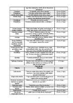 Referāts 'Noras Ikstenas prozas valoda', 57.