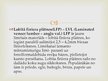 Konspekts 'Lobītā finiera plātņu ražošana', 13.