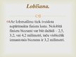 Konspekts 'Lobītā finiera plātņu ražošana', 18.