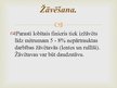 Konspekts 'Lobītā finiera plātņu ražošana', 20.