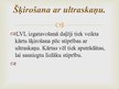 Konspekts 'Lobītā finiera plātņu ražošana', 21.