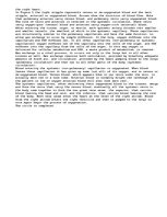 Eseja 'The Respiratory System', 4.