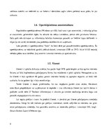 Referāts 'Anonimitāte un privātums internetā', 9.