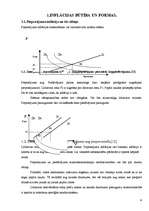Referāts 'Inflācijas būtība un formas', 3.