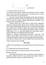 Referāts 'Inflācijas būtība un formas', 5.