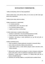 Referāts 'Inflācijas būtība un formas', 19.