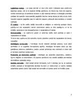 Referāts 'SIA "Mikstūra" uzņēmējdarbības analīze', 9.