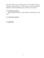 Paraugs 'Noslēguma darba sagatave LU EZTF studentiem', 9.