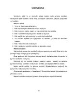 Paraugs 'Noslēguma darba sagatave LU EZTF studentiem', 15.