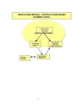 Referāts 'Muitas procedūra - izvešana pārstrādei', 10.