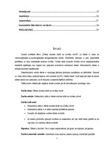 Referāts 'Ūdens nozīme dabā un cilvēka dzīvē', 3.