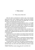 Referāts 'Ūdens nozīme dabā un cilvēka dzīvē', 10.