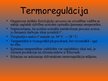 Prezentācija 'Termoregulācija un adapcija', 2.
