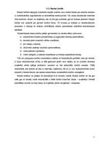 Referāts 'Kreditēšanas nozīme banku darbībā', 19.