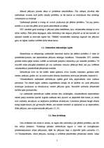 Referāts 'Zinātniski pētnieciskā darba izstrāde ģimnāzijā', 7.