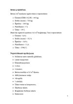 Paraugs 'Tehnoloģiskā projektēšana. Bruģakmens ražošana', 3.