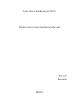 Referāts 'Informācijas sistēmas biznesu prasību apzināšana pārvaldības nozarē', 1.