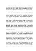 Referāts 'Informācijas sistēmas biznesu prasību apzināšana pārvaldības nozarē', 3.