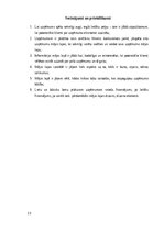 Referāts 'Informācijas sistēmas biznesu prasību apzināšana pārvaldības nozarē', 13.