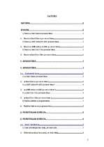 Referāts 'Mājas ofisa izveidošana', 2.