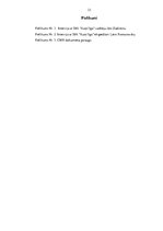 Prakses atskaite 'Prakses atskaite loģistikā', 33.