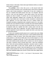 Konspekts 'Tiesību normas', 3.