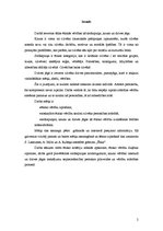 Referāts 'Dzives jēga, sirdsapziņa un kauns kā ētiskās vērtības', 2.