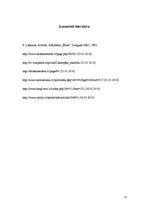 Referāts 'Datoratkarība un ētika', 13.