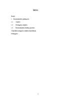 Konspekts 'Krimināltiesības', 1.