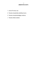 Referāts 'Tiesnešu disciplinārā atbildība', 13.