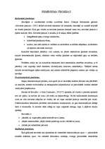 Referāts 'Feminisms', 7.