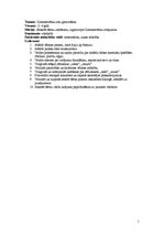 Konspekts 'Integrētās dienas konspekts - Ziemassvētku rotu gatavošana', 1.