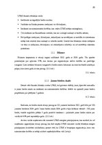 Prakses atskaite 'Prakses atskaite', 20.