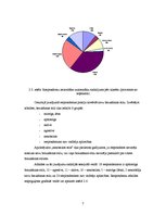 Referāts 'Latvijas Nacionālās bibliotēkas "Gaismas pils" projekts', 7.