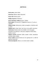 Referāts 'Mākslas valoda cilvēka dzīvē', 39.