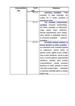 Biznesa plāns 'Biznesa plāns auto nomas firmai', 3.