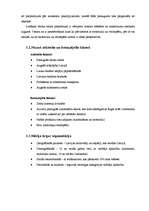 Biznesa plāns 'Biznesa plāns auto nomas firmai', 13.