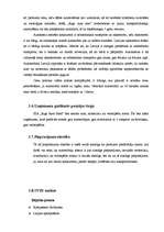 Biznesa plāns 'Biznesa plāns auto nomas firmai', 15.