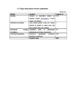 Biznesa plāns 'Biznesa plāns auto nomas firmai', 19.