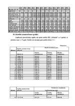 Biznesa plāns 'Biznesa plāns auto nomas firmai', 28.