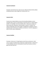 Paraugs 'Akadēmiskā slimības vēsture pediatrijā', 3.